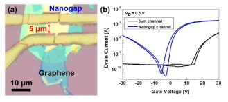 (a) 2차원 소재 적층형 나노갭 트랜지스터 소자와 5 um 갭의 트랜지스터 소자의 직접 비교가 가능한 모식도, (b) 나노갭 전극에서 n형 및 p형 특성이 동시에 관찰되는 양극성 반도체 특성 (ambipolar)에 대한 연구 결과