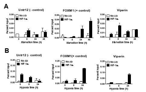 암 미세환경에서 HIF-1a 매개된 viperin 발현 유도 기전. Serum starvation 조건 (A) 및 Hypoxia 조건 (B)에서 HIF-1a 매개된 viperin 발현 유도 기전 분석 (ChIP assay)