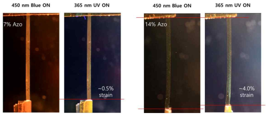 합성된 유연 구동기 재료의 광 반응성 및 변형률 측정