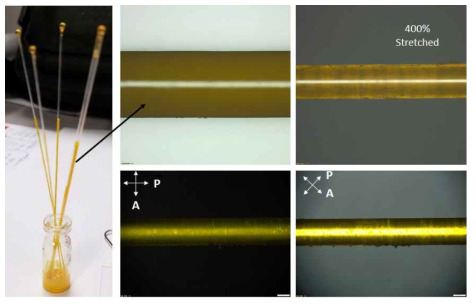 파이버 형태 시편 제작 과정 및 (편광)현미경 사진