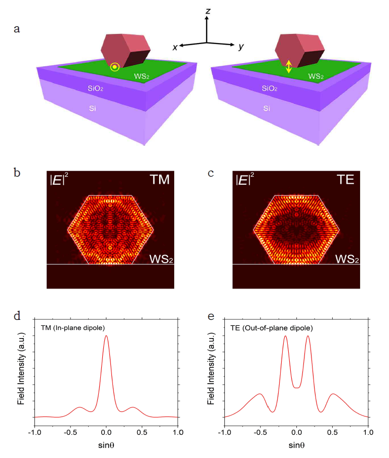 (a) FDTD 시뮬레이션 계산에 사용된 구조 모식도. (b) dipole 소스의 편광 방향을 x축 (면내 방향)으로 위치시킴으로써 계산된 TM whispering gallery 편광 모드. (c) dipole 소스의 편광 방향을 z축 (면외 방향)으로 위치시킴으로써 계산된 TE whispering gallery 편광 모드. (d) TM 편광 모드에서 계산된 각도에 따른 필드 세기 분포. (e) TE 편광 모드에서 계산된 각도에 따른 필드 세기 분포