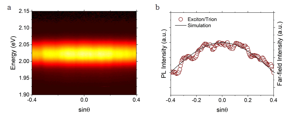 (a) 복굴절 ZnO 광 공진기와 결합하지 않은 단층 WS2의 각도 분해 PL 스펙트럼. (b) 단층 WS2 밝은 엑시톤의 각도 의존 PL 분포