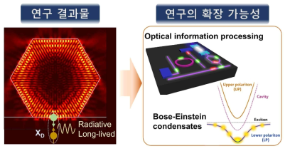 어두운 엑시톤의 제어 기술의 응용 분야 및 연구 확장성