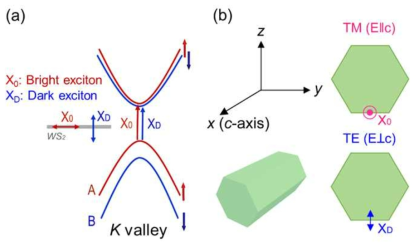 (a) 2차원 반도체 (WS2)의 K 밸리 밴드구조와 엑시톤의 스핀 배열. (b) 복굴절 광 공진기에서의 TM과 TE의 편광 모드. 각각의 TM과 TE 모드는 2차원 반도체의 면내와 면외 dipole 방향에 대응되는 공진기 모드를 나타낸다