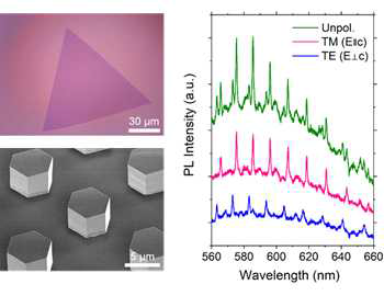 2차원 반도체 (오른쪽 상부) 및 ZnO 마이크로 광공 진기 (오른쪽 하부). ZnO 마이 크로 구조로 부터의 복굴절 whispering gallery mode 스펙트럼