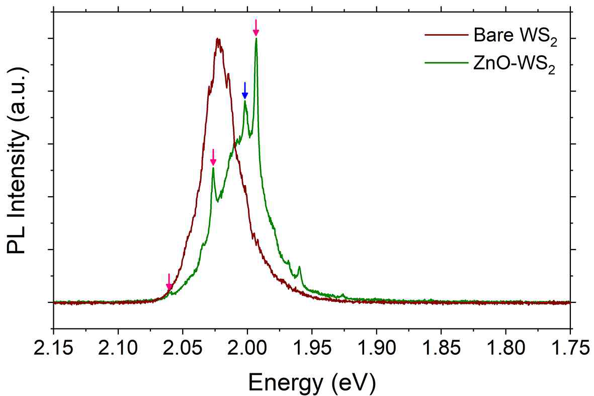 단층 WS2 및 ZnO 복굴절 광 공진기와 결합된 ZnO-WS2 구조에서 측정한 PL 스펙트럼. 핑크색 및 파랑색 화살표는 약 33 meV의 일정한 모드 간격을 갖는 공명 피크들과 모드 간격이 다른 공명 피크를 나타낸다