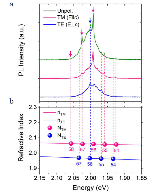 (a) ZnO-WS2 구조에 대해서 측정한 편광 의존 PL 스펙트럼. (b) 복굴절 whispering gallery mode 분석에 사용된 TM 및 TE 편광 모드에 대한 굴절률 (핑크색 점선: TM 편광 모드, 파란색 점선: TE 편광 모드)
