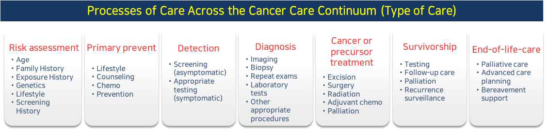 암전주기(Cancer Care Continuum)에 따른 각 단계별 건강위험 주요 요인