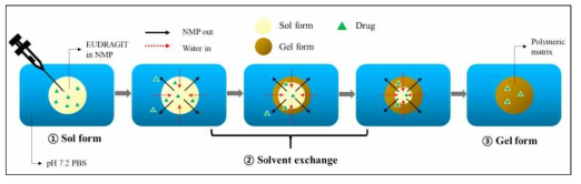 용매교환 기전 기반 sol-gel transition
