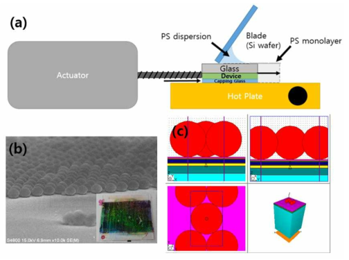 (a) convective coating법의 모식도. (b) 소자 위에 제작된 PS beads 광구조의 전자현미경(SEM) 사진 및 실제 소자의 사진. (c) 시뮬레이션 모식도