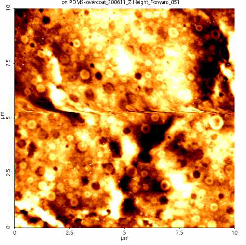 PEDOT:PSS Hsolar를 도포한 AgNW/PDMS 투명전극의 표면 AFM 이미지