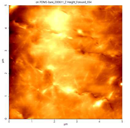 AgNW/PDMS 투명전극의 AFM 이미지