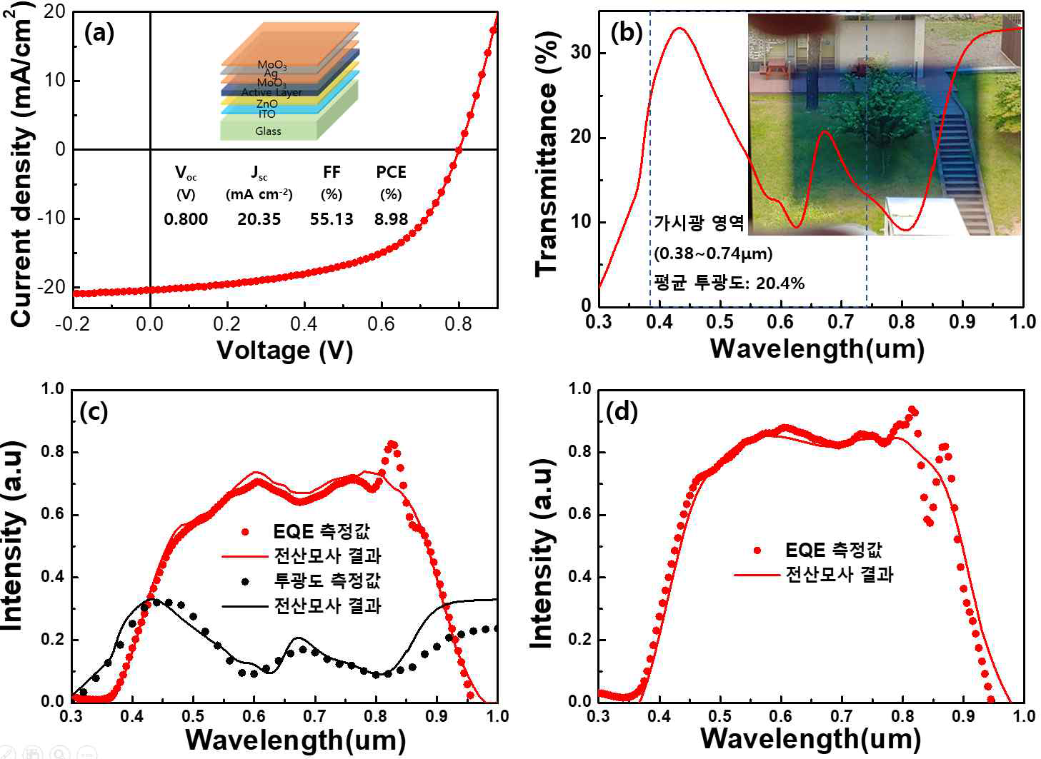 제작한 반투명 유기태양전지의 (a) JV 특성)과 (b) 투광도 및 제작된 소자의 사진. (c) 전산모사 결과와 실제 제작한 반투명 소자의 측정값 비교. 검은색은 투광도 붉은색은 흡광도. (d) 불투명 소자의 흡광도 전산모사와 외부광자효율(EQE) 비교