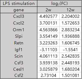 LPS 자극에 의한 유전자 발현량 변화 비교