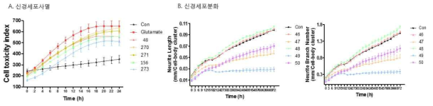 신경세포에서 노화조절물질처리에 의한 세포독성 및 신경세포분화 영향