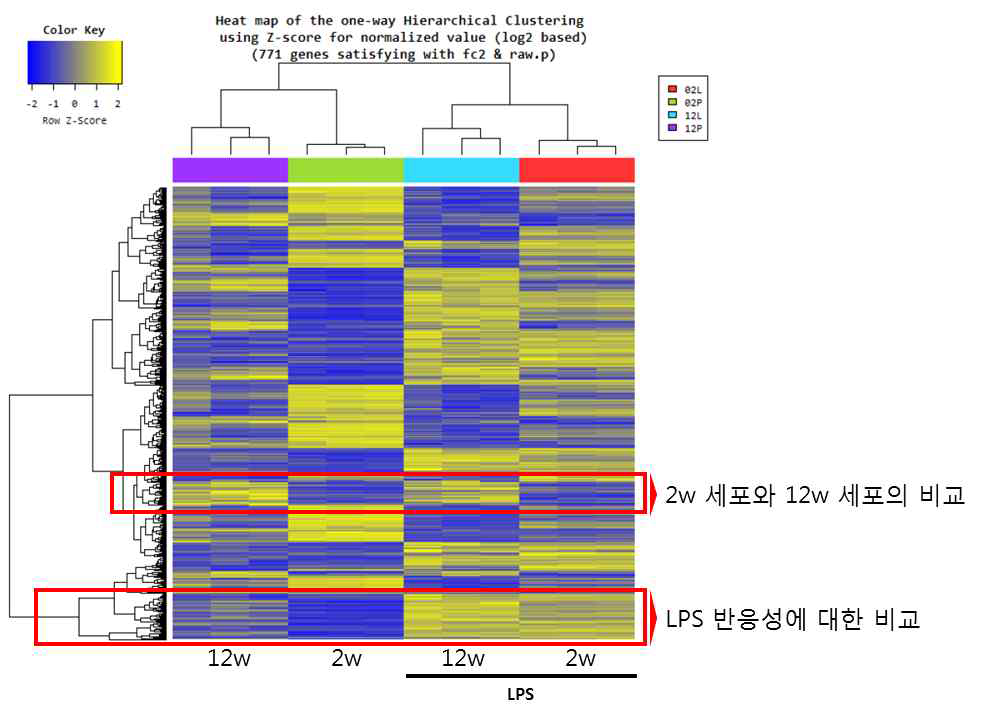 LPS에 의해 변화되는 유전자군의 패턴
