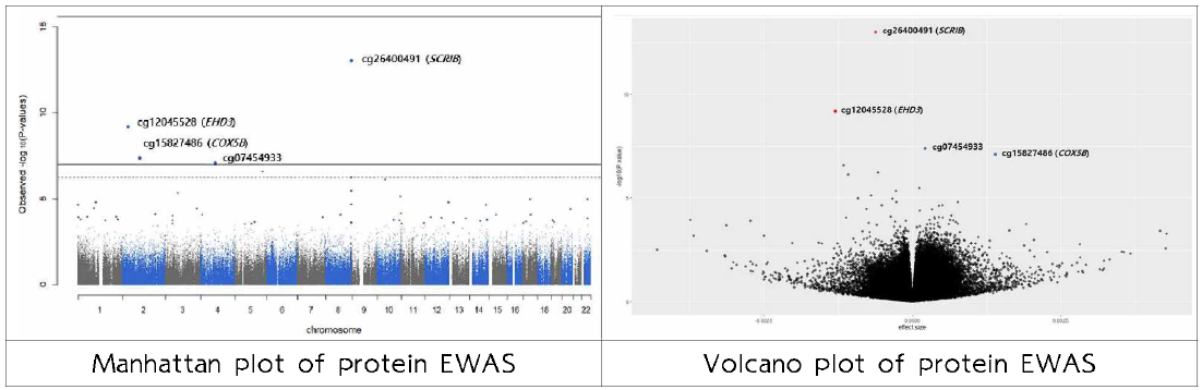 EWAS 분석 결과 visualization