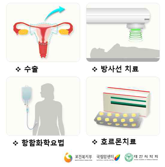 자궁내막암의 치료방법