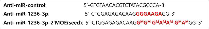 miR-1236 2‘-MOE modification 부위 및 sequence