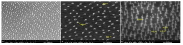 비정질 실리콘 상 분포한 금 입자(왼쪽, 중간)와 비정질 실리콘 기둥 (오른쪽)의 전자 주사 현미경(SEM) 사진 크롬층을 전자빔 증착기 (E-beam evaporator)을 이용해 7nm 증착한 후 에칭함