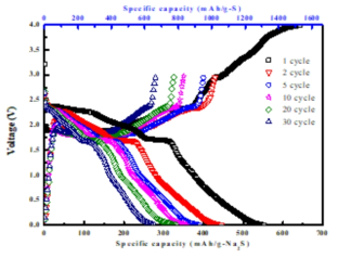 Na/S 전지의 사이클 특성