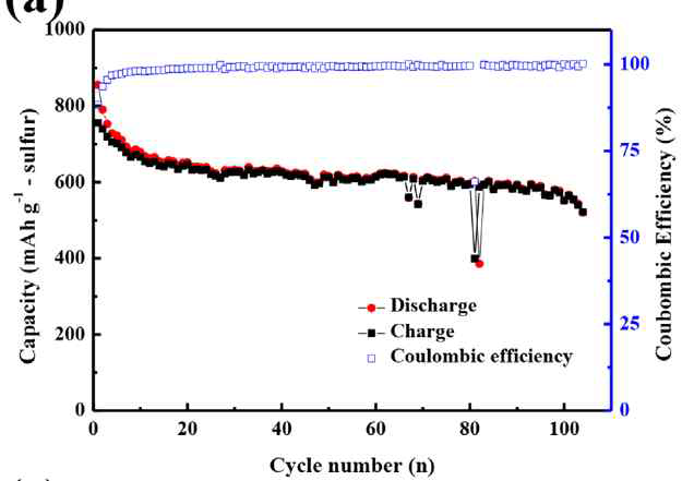 55 wt%의 황을 포함한 탄소-유황 복합체의 사이클 특성, Ahn et al., J. Power Sources, 2016, 301, 332-3