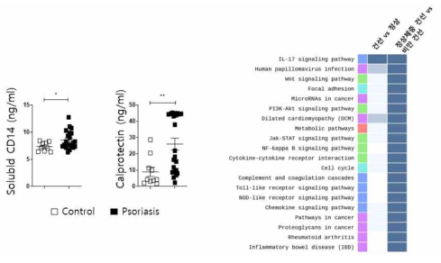 건선 환자의 혈중 장관 투과성 마커 증가와 병변의 유전자 발현 변화