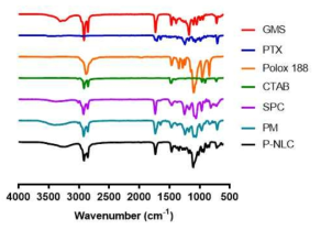 FT-IR results of materials for P-NLC, physical mixture, and P-NLC. GMS, glyceryl monostearate; PTX, Paclitaxel; Polox 188, Poloxamer 188; CTAB, Hexadecyltrimethylammonium bromide; SPC, Soybean phosphatidylcholine; PM, Physical mixture; P-NLC, Paclitaxel-NLC