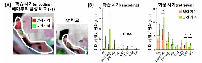 일화기억과 공간기억 과제 수행 시의 해마 활성 비교 (A) 해마 부위 뇌 활성 지도 비교(하얀 경계는 해마 영역) (B) 해마 하위영역별 활성 정도 비교