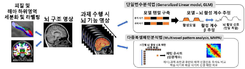뇌 구조 및 기능 영상 데이터 분석 패러다임 요약