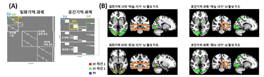 (A) 뇌 활성 지도 확인을 위한 모델 행렬 디자인과 (B) 일화기억 및 공간기억 과제 수행 시의 뇌 활성 지도 (주황색 네모는 해마 영역 활성 강조)