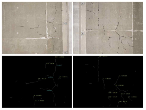 선 형태로의 균열 형상 도출 및 길이(cm) 산정 결과 예시