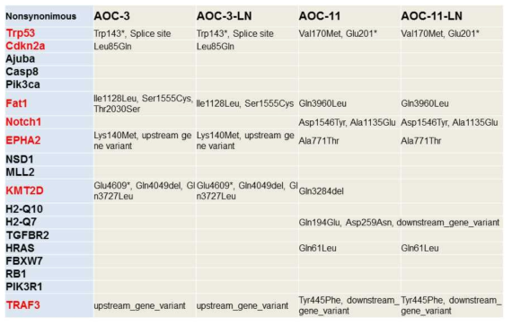 (표). 분리된 AOC 세포주에 대한 Whole Exome Sequencing (WES) - 선행연구