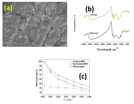 Representative SEM micrograph of sulfonated microfibrillar cellulose (a); FTIR spectra of pristine and sulphonated microfibrillar cellulose (b); Removal rate of Pb(II) at pH = 5.5 on pristine and sulfonated microfibrillar cellulose at various concentrations of Pb(II) (c)