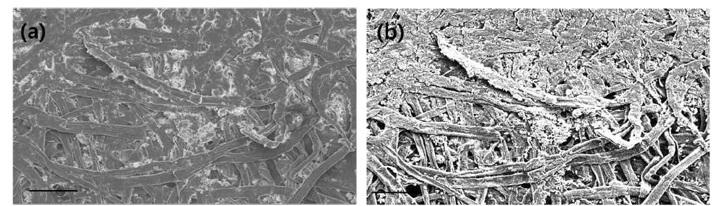 Traditional in-lens (a) and novel secondary electron SEM image (b) of waste paper