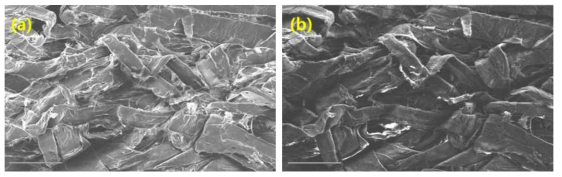 Morphology of microfibrillated cellulose fibers by traditional in-lens (a) and secondary electron (b) extracted from waste paper by our NaOH/urethane aqueous system