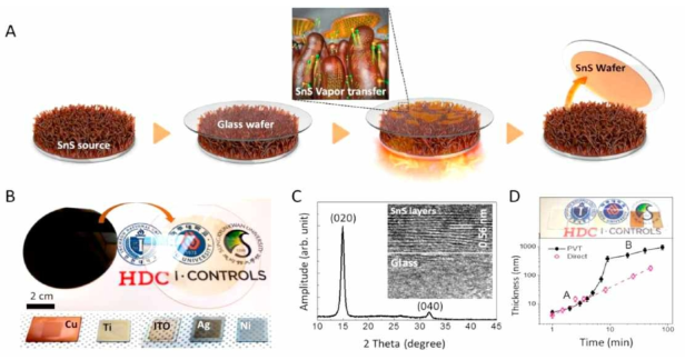 대면적 2D 소재의 합성과 Transfer를 이용한 공정개발 2D layer-embedded transparent photovoltaics, Nano Energy (IF=15.548), 68 (2020) 104328