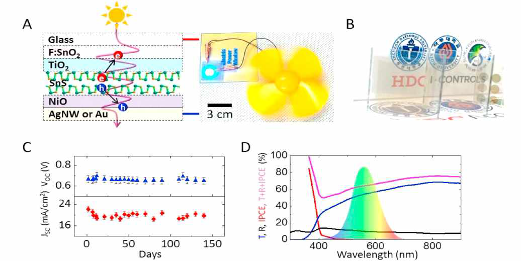 2D 물질 (SnS)가 탑재된 산화물 p-NiO/n-TiO2 접합 및 태양전지 2D layer-embedded transparent photovoltaics, Nano Energy (IF=15.548), 68 (2020) 104328