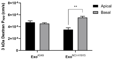 폐암 EV의 BBB apical 및 basal 처리에 따른 장벽 변화