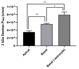 BBB astrocyte 유무에 따른 폐암 EV의 BBB 장벽 영향