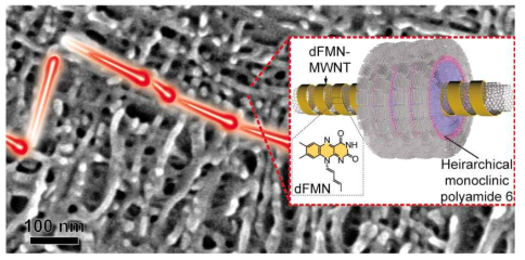 플라빈으로 기능화된 탄소나노튜브를 이용한 폴리아마이드 복합체의 독특한 탄소나노튜브의 교차 배열 이미지 (inset) 플라빈 기능화된 탄소나노튜브 표면상의 새로운 단사정계 폴리아마이드 구조