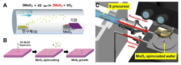 (A) 화학기상증착장치를 이용한 MoO3와 S 전구체 기반 MoS2 합성 모식도 (B) SC-MoO3 분산액을 이용한 스핀코팅 기반 MoS2 합성법 (C) 스핀코팅된 기판과 S 전구체를 활용한 통합형 플랫폼 기반 MoS2 성장 모식도