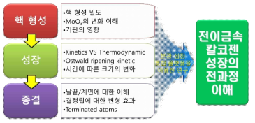 전이금속 칼코젠의 성장 전과정의 이해를 위한 추진전략