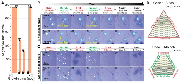 단속적인 Ar 흐름을 이용한 삼각 및 육각 모양 조절 (A) 성장 시간에 따른 Ar 가스 유량 변화 (B) 성장 시 전구체 풍족 환경에 따른 결정립의 형태 변화 (C) 전구체 단속에 따른 결정립 형태 변화 모식도