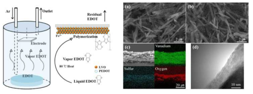 Vapor Phase Polymerization (VPP) 모식도와 코팅 후 LVO전극의 SEM, TEM image