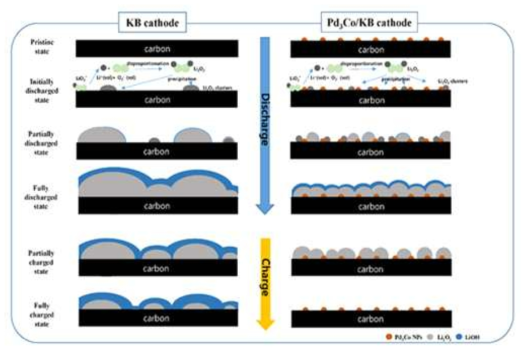 solution-mediated reaction에서 KB, Pd3Co/KB 전극을 사용한 Li/O2 전지의 매커니즘 모식도
