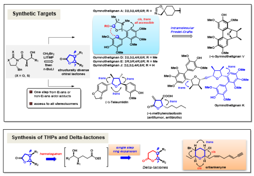 Gymnothelignan 리그난 천연물 및 THF 리그난 화합물 합성 연구 B. 연속 탄소확장 (homologation) 단일반응을 이용한 델타락톤/변환 연구