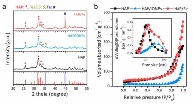하이드록시 아파타이트, 하이드록시 아파타이트/산화철 나노 입자 및 하이드록시 아파타이트/철의 XRD 패턴 (a), 질소 흡착-탈착 등온선 및 포어 크기 분포 (내부) (b)