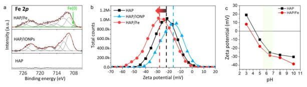 하이드록시 아파타이트, 하이드록시 아파타이트/산화철 나노 입자 및 하이드록시 아파타이트/철의 2p 피크 XPS 스펙트럼 (a), DMF에서의 제타 전위 (b), 녹색 범위에서 실험한 제타 전위의 pH 의존성 (c)
