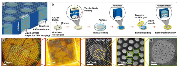 Schematics of a) the nanochamber array and b) its fabrication process. c,d) Optical images and e–g) TEM images of the fabricated nanochamber array. Each image shows (c) a whole TEM grid, (d) a single mesh, (e–f) a nanochamber array, and (g) a single nanochamber